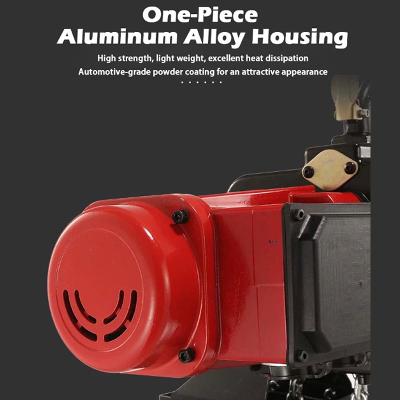 Electric Chain Hoist - 220V Elektrische Kettingtakels met Verstelbare Snelheid,